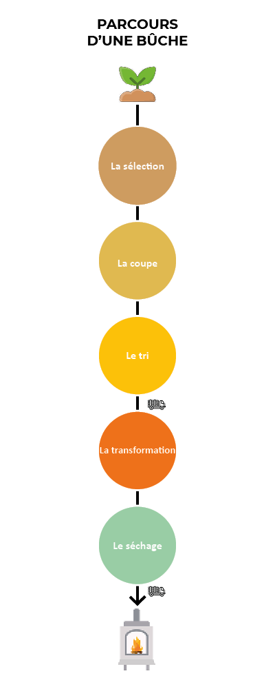 schéma parcours d'une bûche